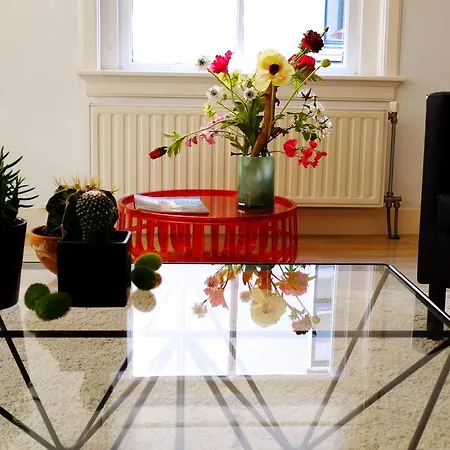 Apartment Comfortable City Centre The Hague