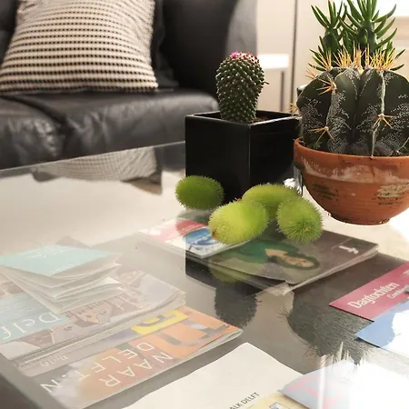 Apartment Comfortable City Centre *